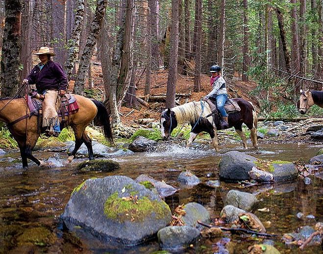 People riding horses besides a stream in a forest - Narrow Gauge Inn - A Serenite Hotel Near Fish Camp.