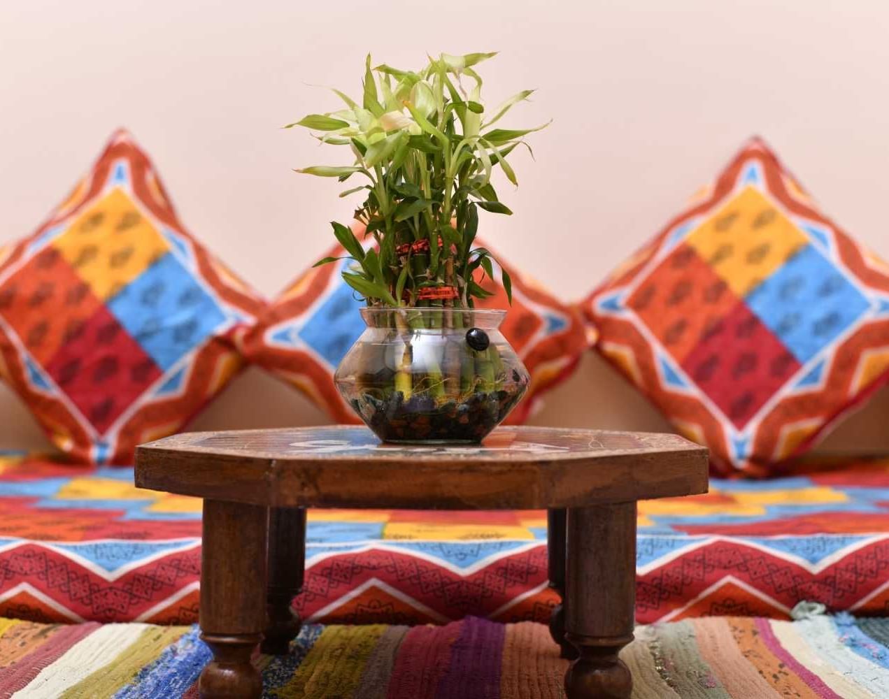 Low wooden table with a plant and colourful cushions creating a warm and inviting indoor seating corner at Jaypore360 Homestay.
