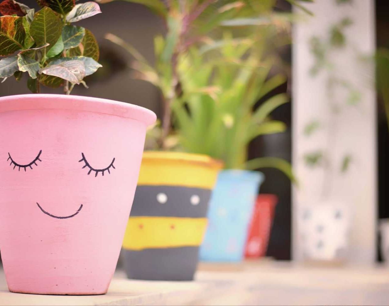 A pink plant pot with a smiling face design, adding charm and creativity to the decor at Jaypore360 Homestay.