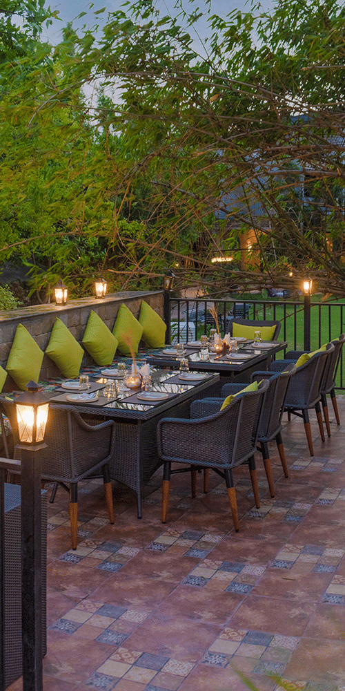 jungle grill- The Golden tusk