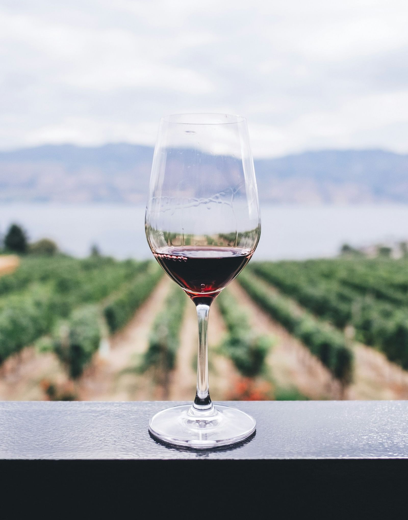 A glass of wine placed on a flat surface with vineyard as the background.