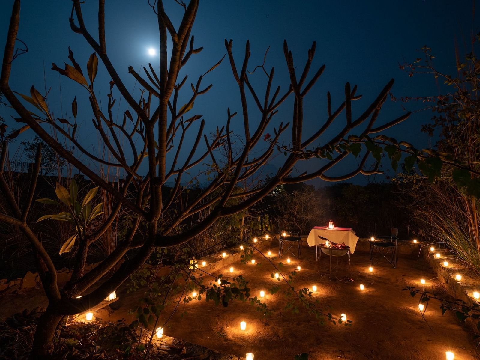 An image of an outdoor dining arrangement with bright lighting and greenery around - Utsav Camp Sariska