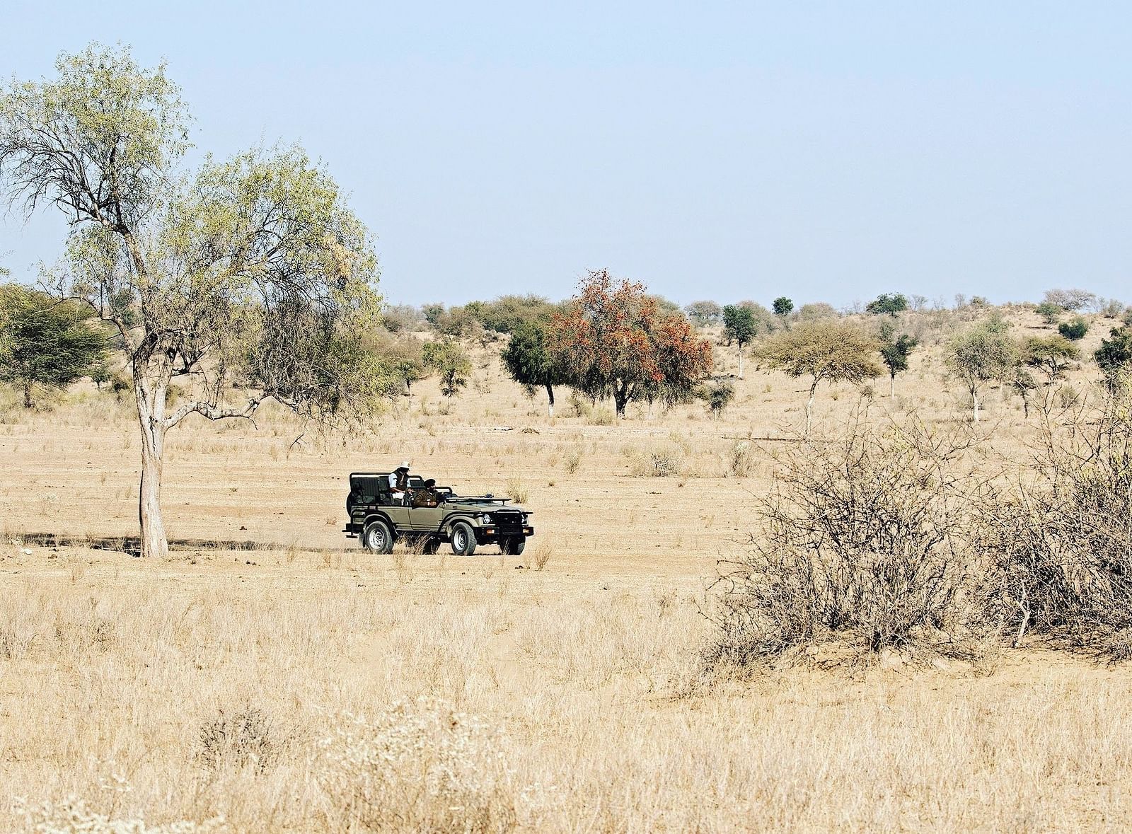 A safari jeep exploring the desert landscape at Manvar Resort & Desert Camp