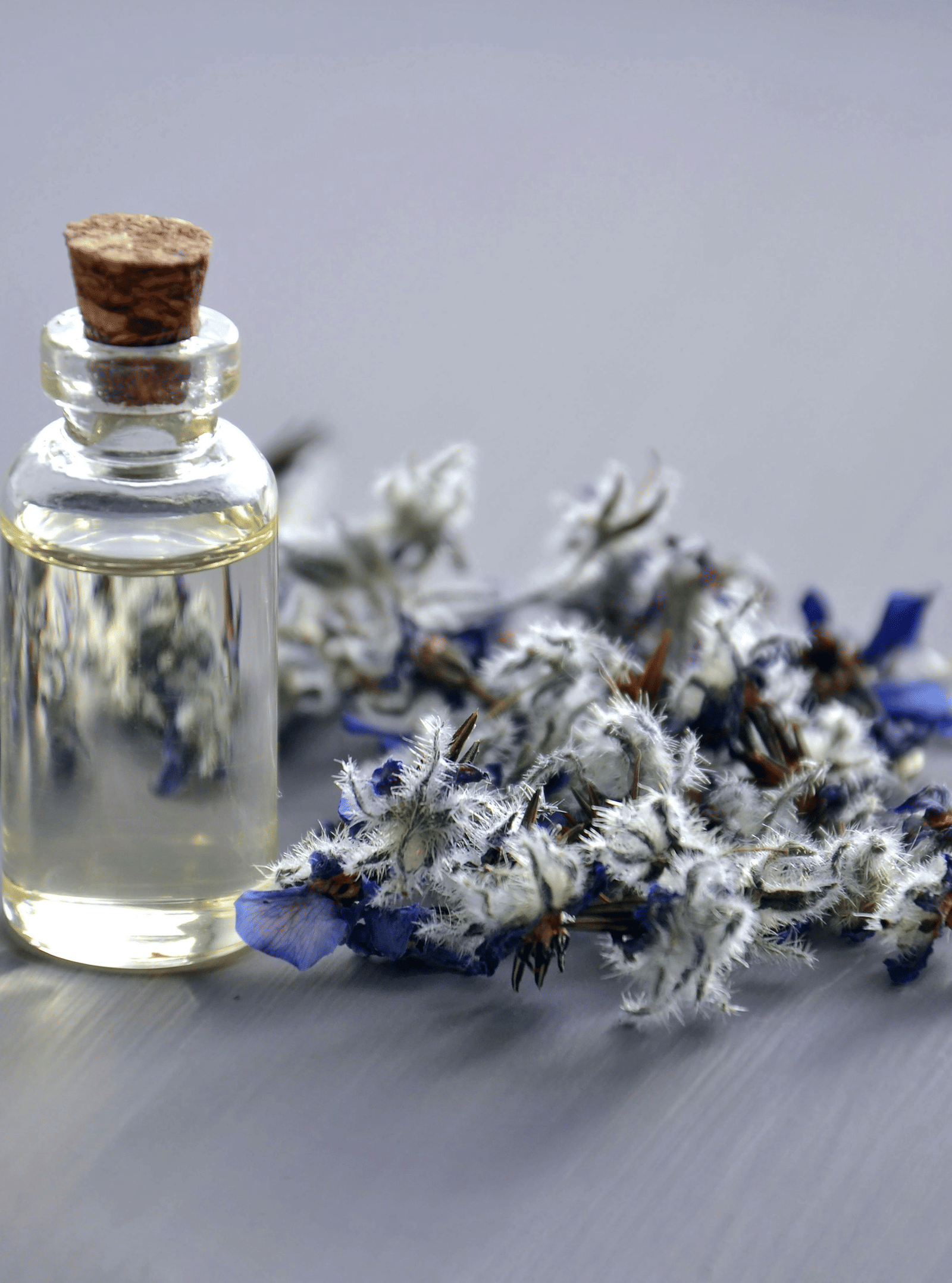 Small bottle of essential oil with dried lavender flowers on a grey surface.