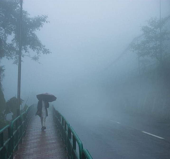 monsoon-min zklpfp