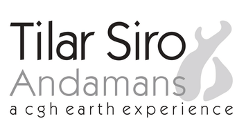 TILAR SIRO  Andaman and Nicobar Islands  Copy of Tilar Siro Andamans