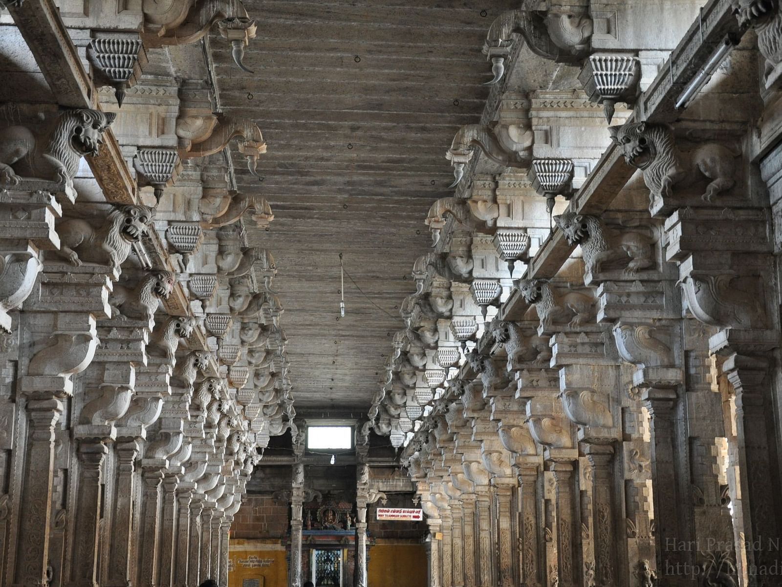 Jambukeshwara Temple