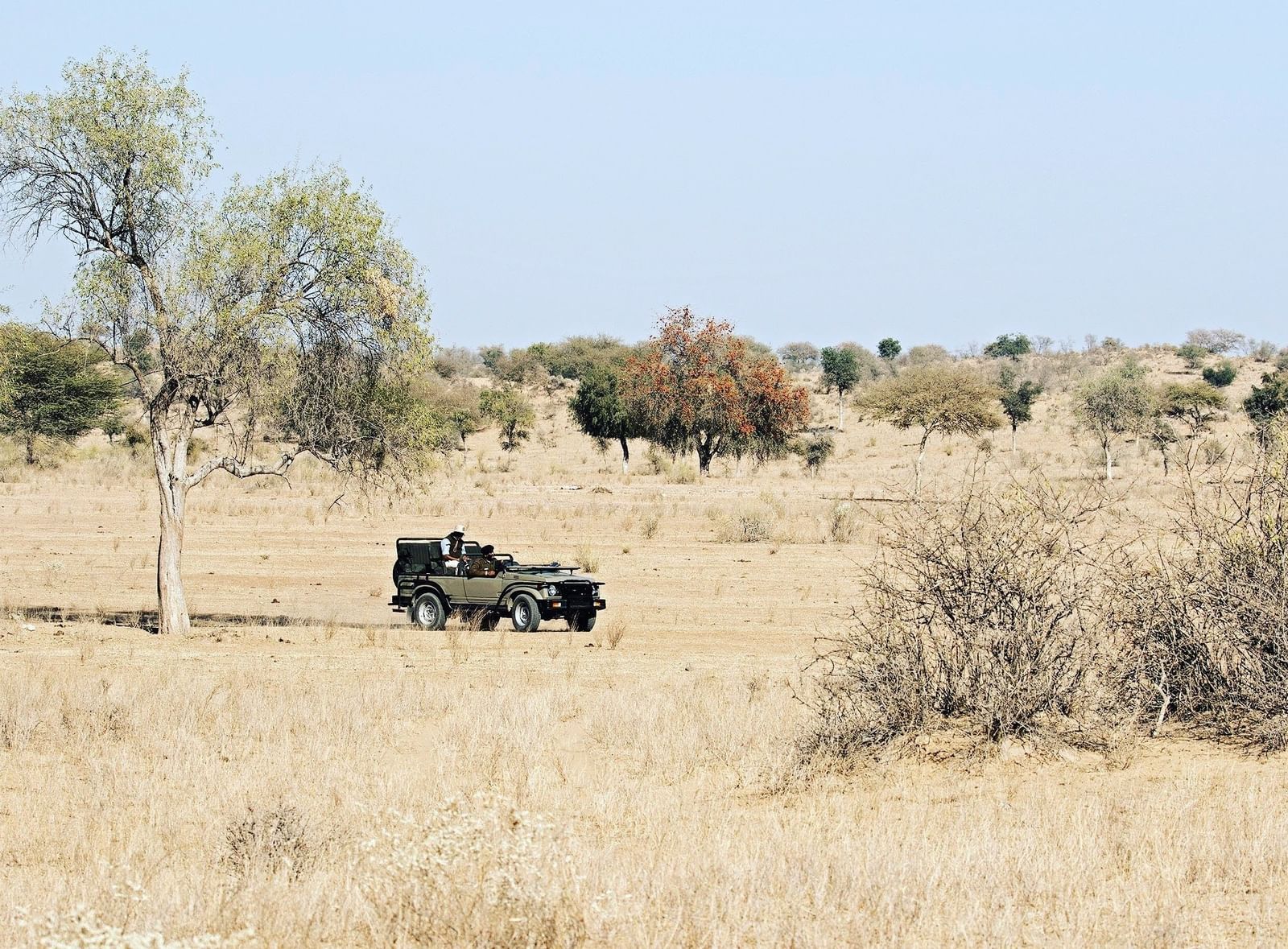 A safari jeep exploring the desert landscape at Manvar Resort & Desert Camp
