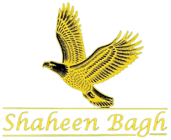 Shaheen Bagh - A Luxury Boutique Resort & Spa in Dehradun Dehradun dba3fc4d-aa13-4cba-81dd-6a082499a2fe-removebg-preview