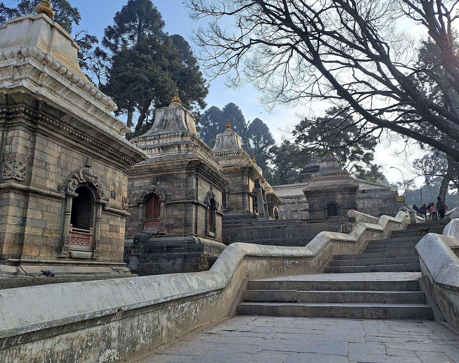 Ancient stone temples and steps leading uphill with branches framing the sides.