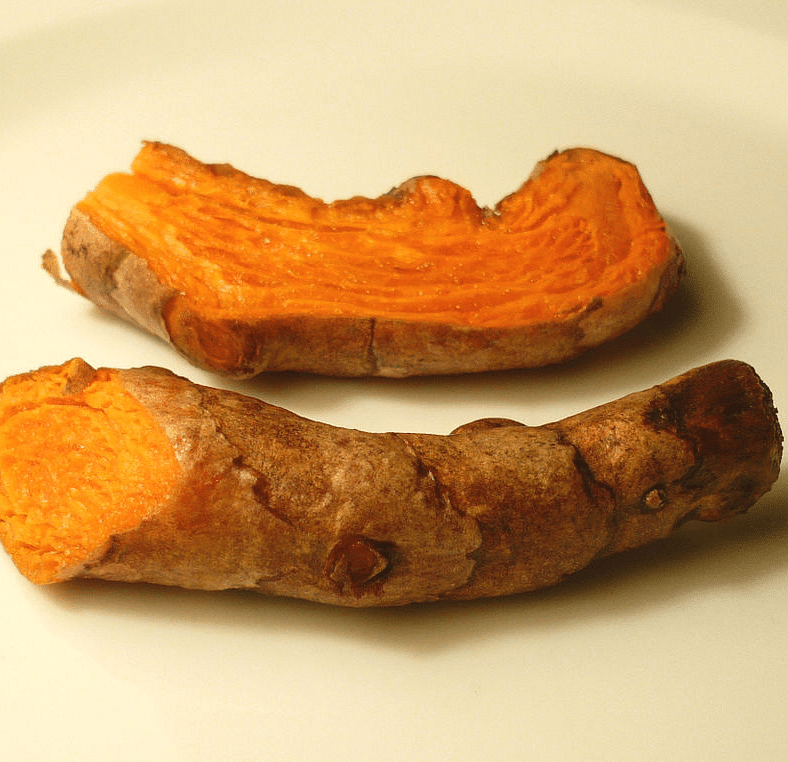 A close image featuring two raw turmeric pieces on a plate