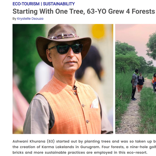 A screenshot of an article about Karma Lakelands.