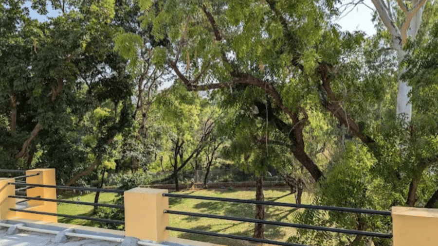 A view of a dense forest with trees as seen from a balcony with a railing and pillars at Estherea Bagh, Ranthambore.