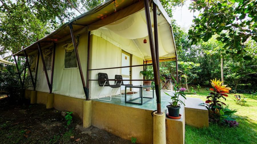 Exterior view of a yellow tent surrounded by greenery and lawn area at Fireflies Resorts, Kabini.