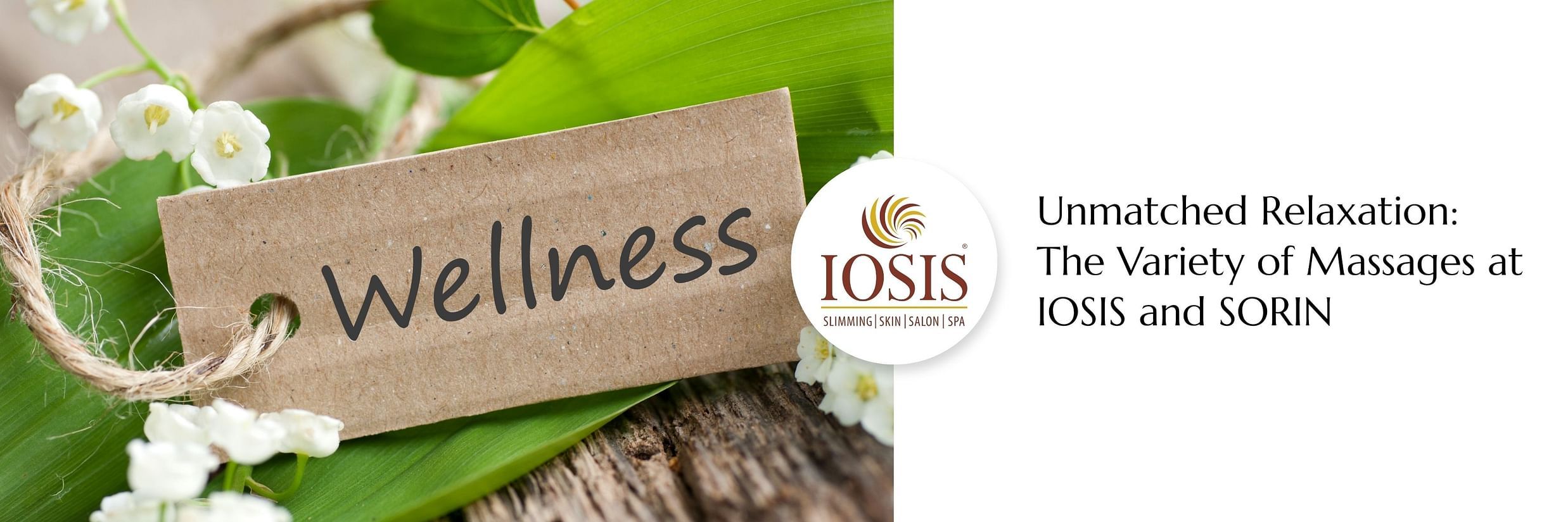 Image of a banner with IOSIS logo and wellness written on it