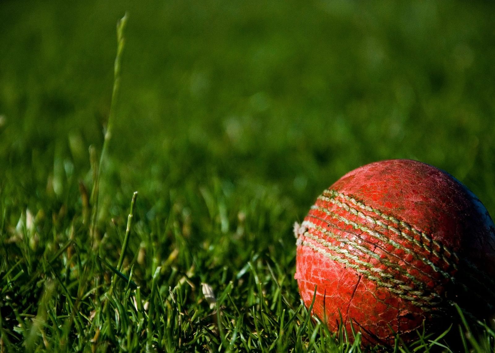 A  close-up shot of a cricket ball lying in the green grass
