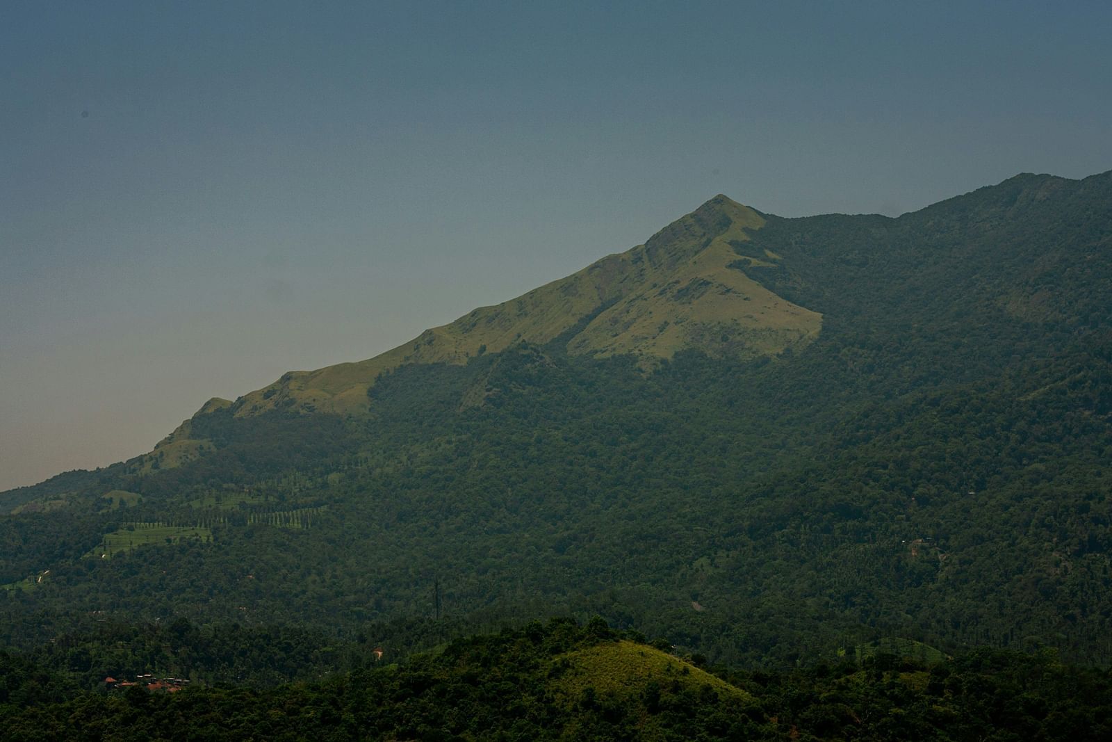 An overview of a mountain range that is covered by many green trees.