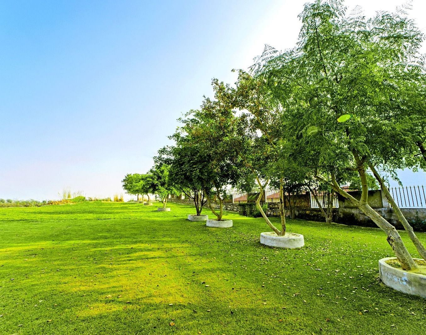 Lush garden area at Grassfield Riveria Resort, Jaipur, with well-maintained lawns and trees under a clear sky.