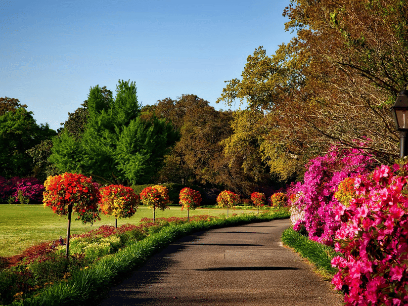 A pathway through a garden lined with trees, green lawns, and colourful flowering bushes.