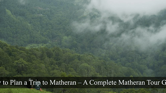 Fog covering the lush green mountains.