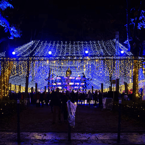 illuminated-christmas-lights-night 1048944-3801948