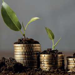 image of stacked up coins in descending order signifying growth