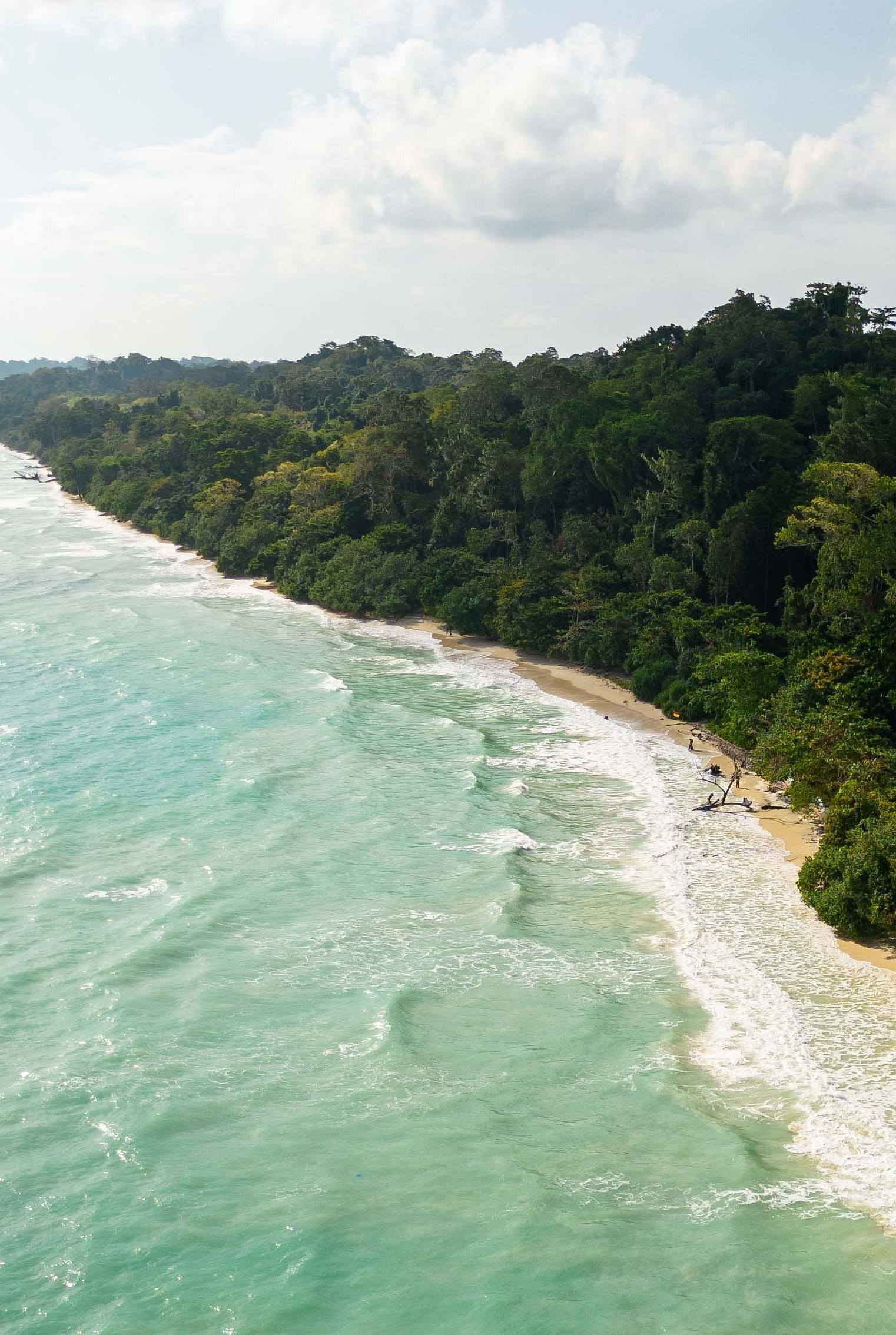 A panoramic view of a beach stretching along the coastline, with clear turquoise waters gently lapping against the shore. Lush greenery lines the beach, adding to the picturesque setting - Coral Reef Resort & Spa, Havelock