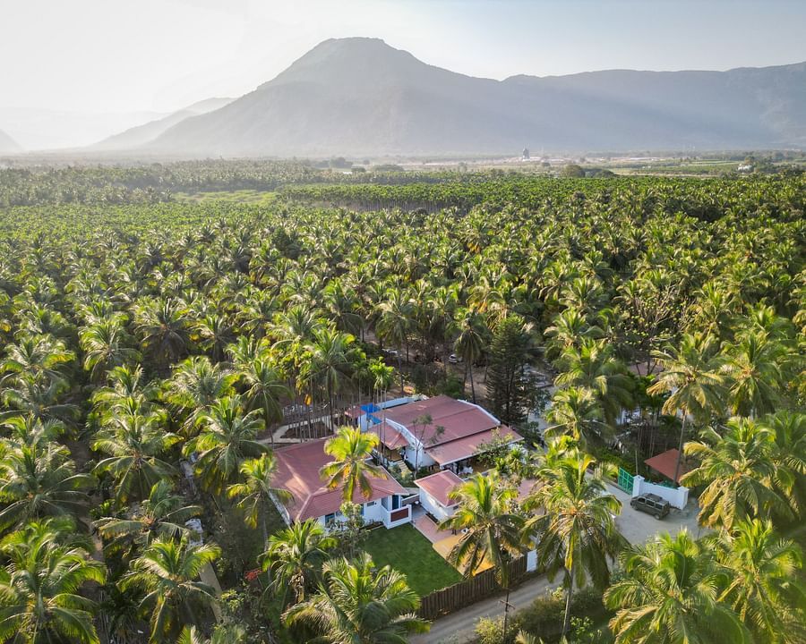 Drone shot of the white resort cottage with a red roof and blue window frames, surrounded by palm trees and green lawns - Ibex Resorts, Coimbatore (Kakarla)