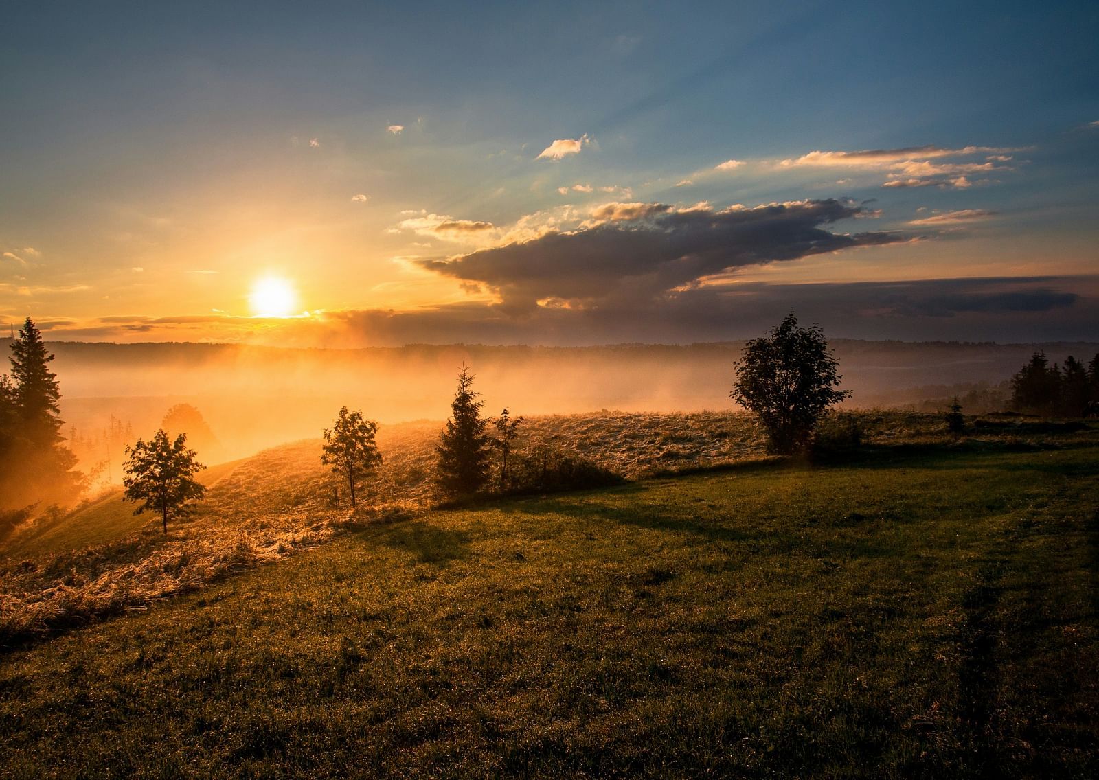 An overview of a sun setting in the distance with fog covering the hill and trees.