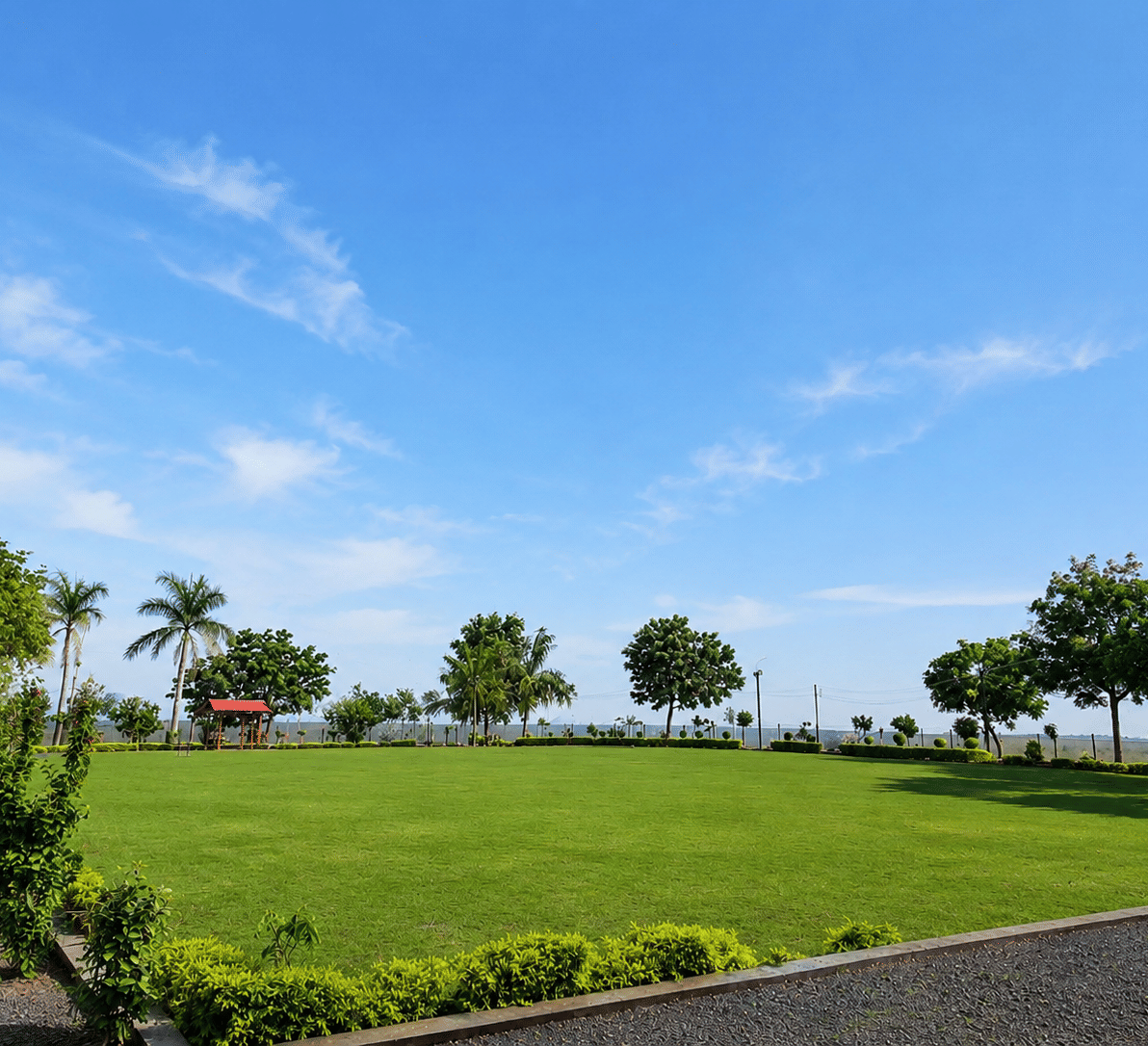 Wedding lawn