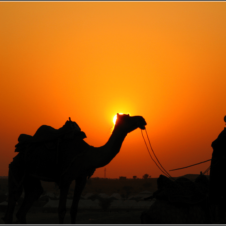 View of Desert Sunset of Rajasthan at Umaid Palace Hotel Kalakho Dausa Rajasthan