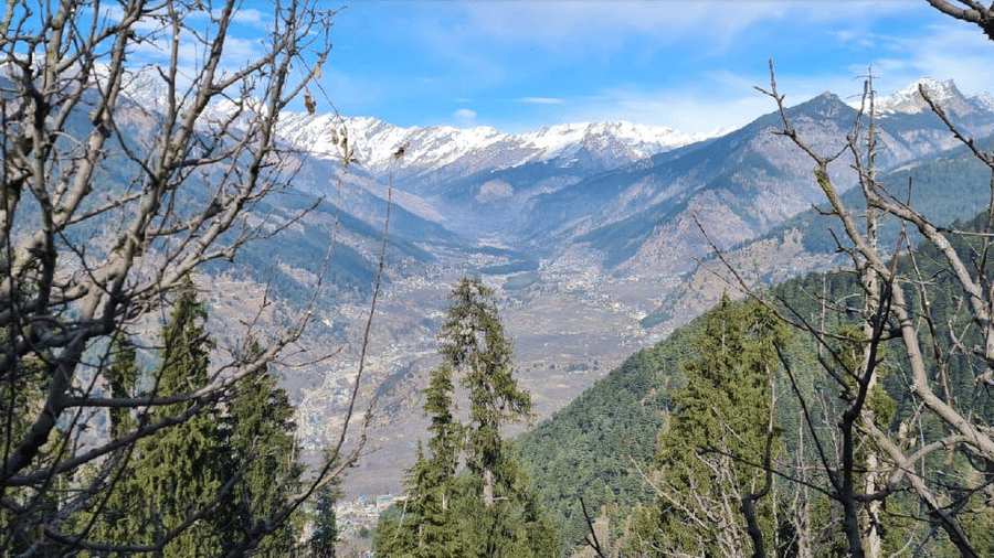 A wide-angle shot from Amara Upepo - The Sky Village, Manali, looking through the bare branches of trees to a mountain valley with snow-capped peaks under a bright blue sky.