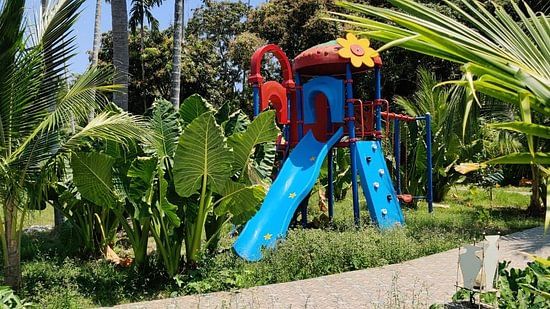 Kids Play Zone