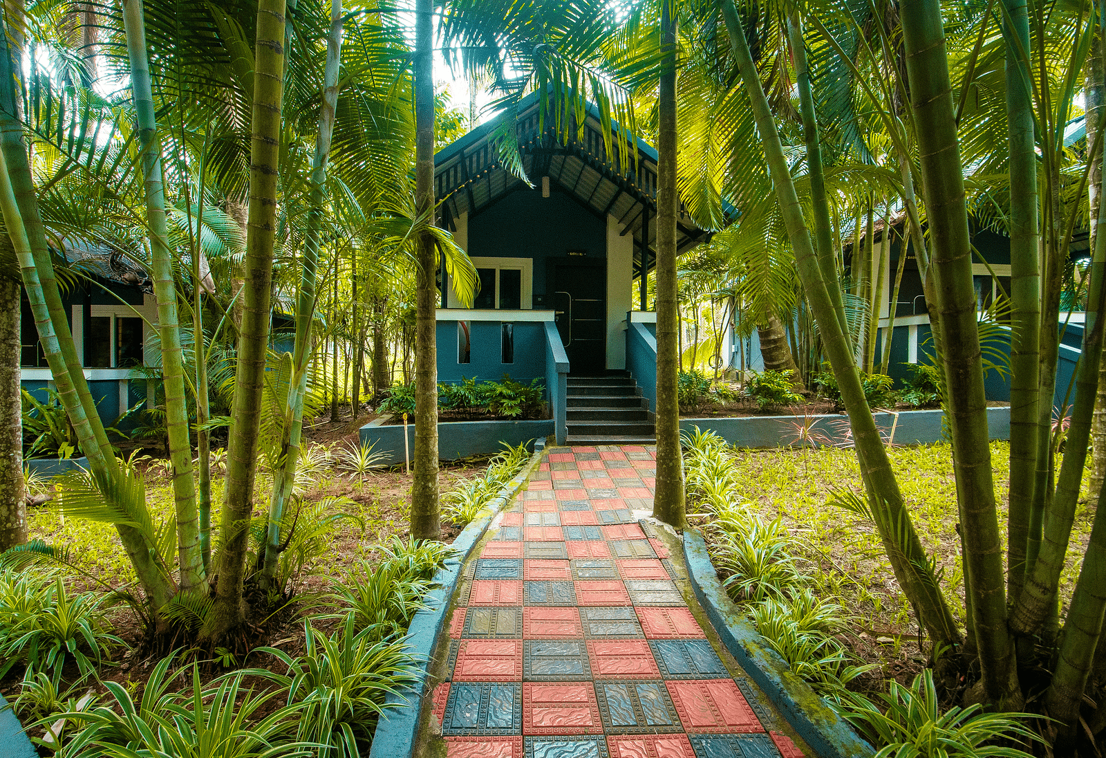 A footpath surrounded by trees and plants at Parampara Resort & Spa, Kushalnagar.
