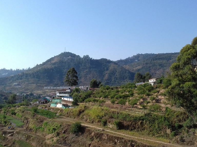 An image of a lush green landscape with the backdrop of a mountain and a clear blue sky