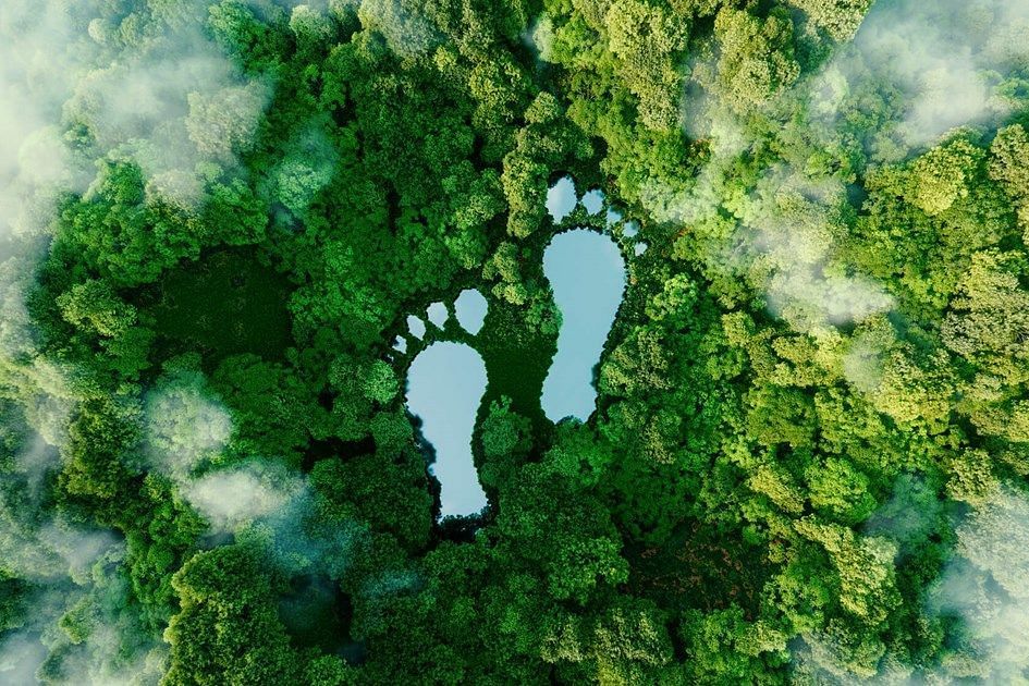 travel-carbon-footprint-1