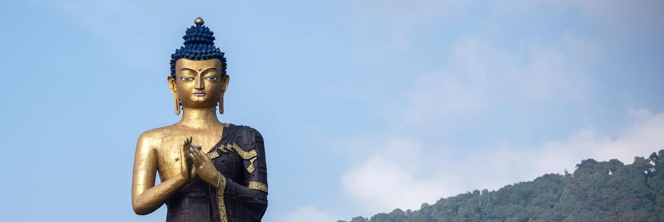 Large golden Buddha statue seated in meditation pose with forested hills in peaceful background