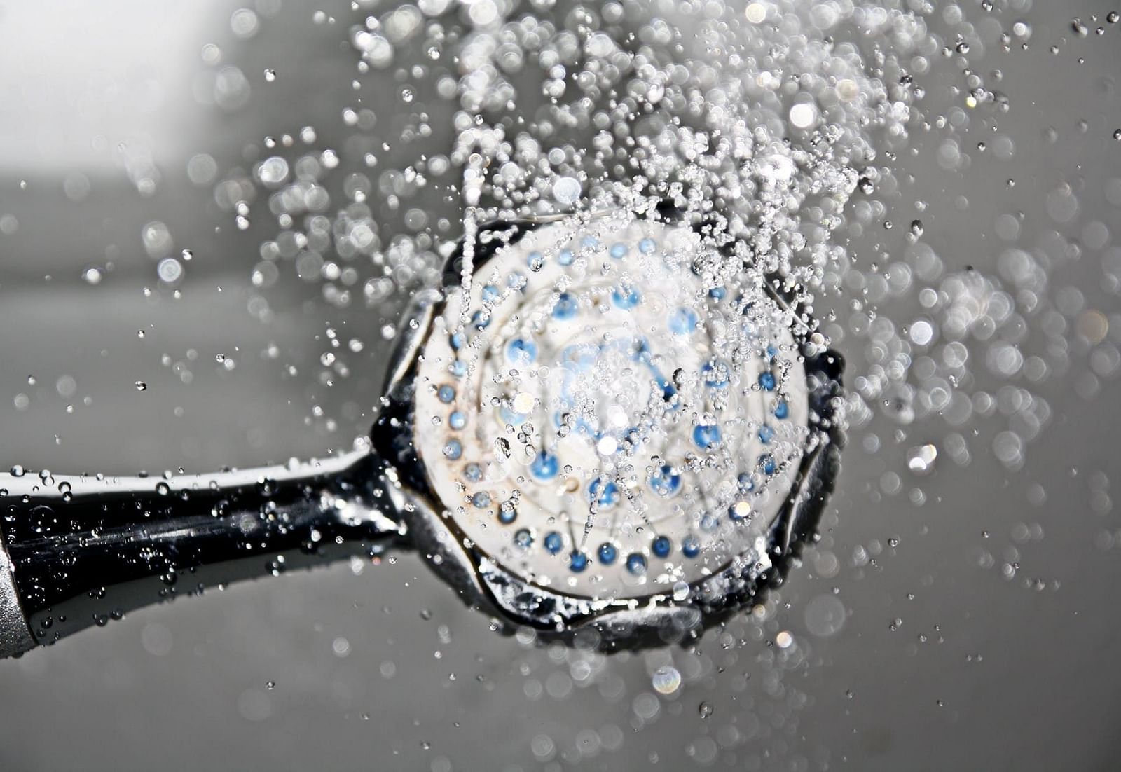 Close-up of a showerhead spraying water droplets.