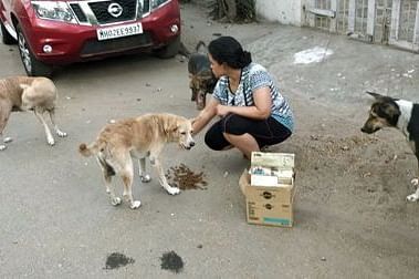 GRT staff feeding stray dogs in an outdoor setting with parked cars.