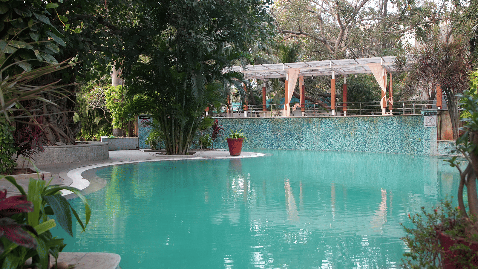 Serene outdoor pool surrounded by greenery with a small waterfall feature.
