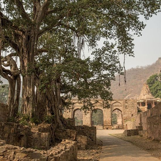 Surya bagh Experiences 1