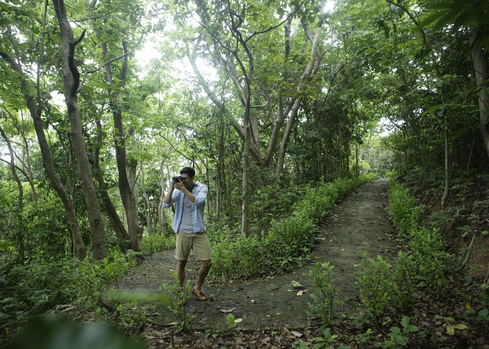 Person walking along a forest trail with trees on both sides at Flower Island Resort.