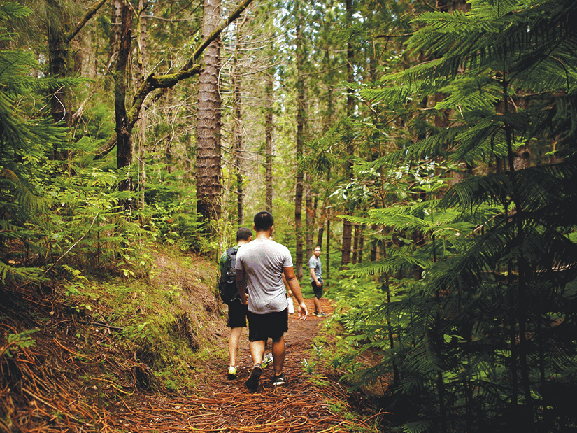 2 people walking on nature trails on rocky paths surrounded by greenery