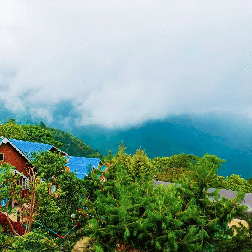 Beautiful resort in Kurseong with colorful cottages, surrounded by lush green hills, pine trees, and misty clouds overlooking the Himalayan valley — perfect stay for nature lovers in Darjeeling