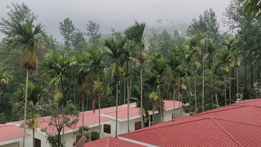 An outdoor view shows buildings with surrounding trees at DNC Shevaroys Resorts and Spa.