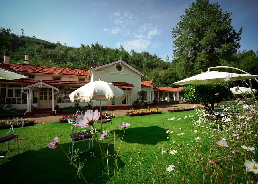 garden with flowers at king's cliff