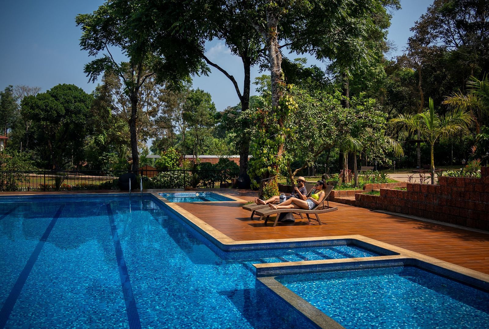  A pool covered in greenery