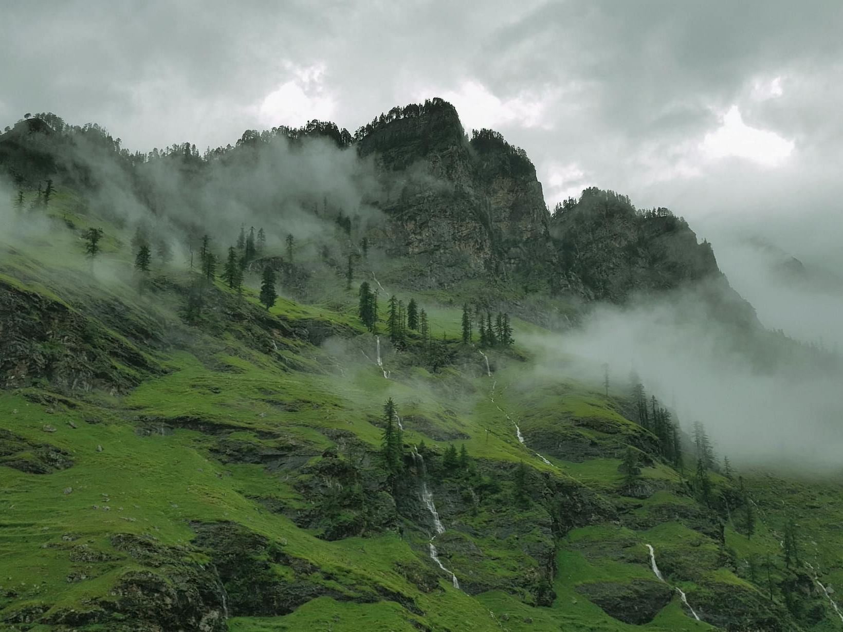 misty mountains with trees and grasslands