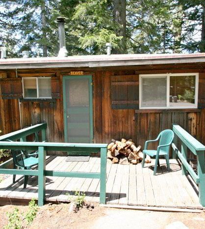 29A rustic wooden cabin with a green porch and railing is nestled among tall pine trees | Deer II