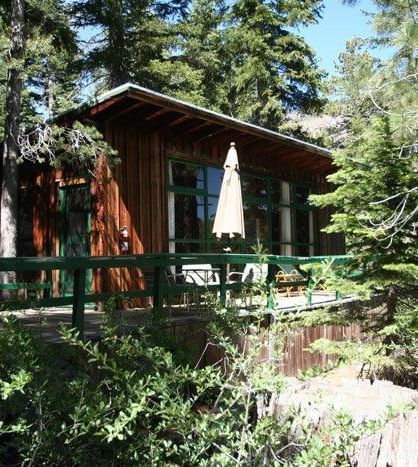 A charming cabin with a steep roof and multiple windows is situated on a hillside amidst a lush forest | Cinnamon Bear